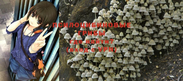 не бодяженный Баксан