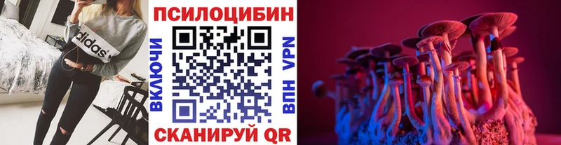 где найти наркотики  Менделеевск  Галлюциногенные грибы Cubensis 